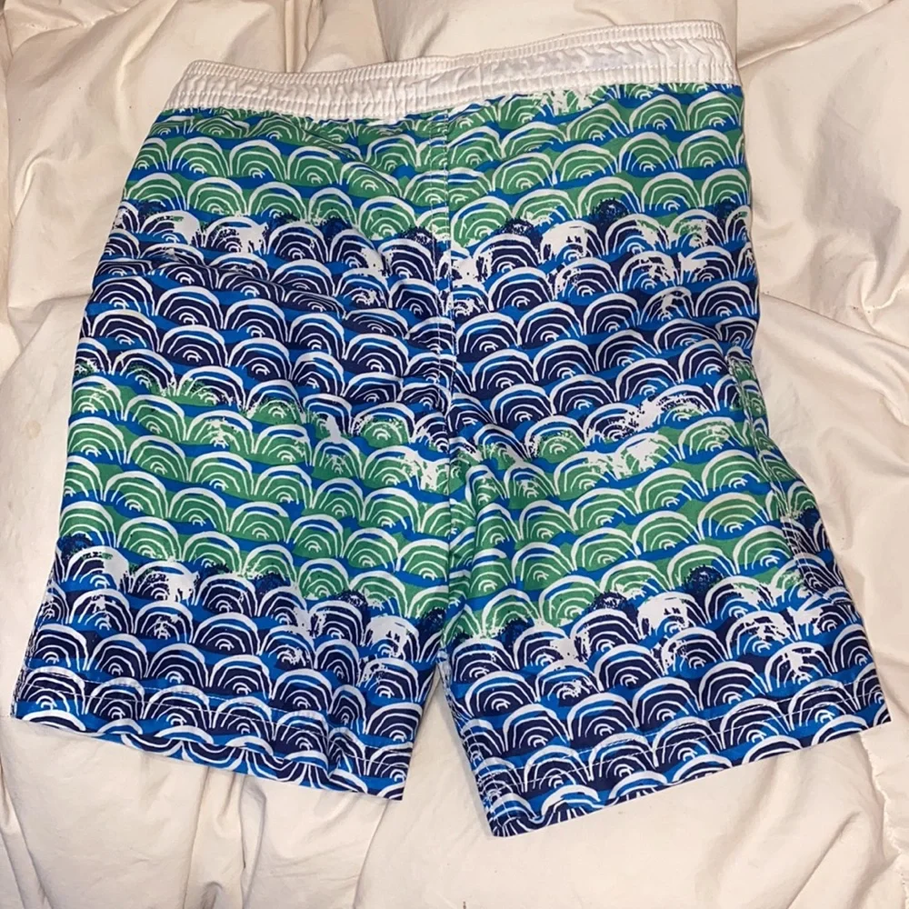 Hanna Andersson swimsuit, size 110
